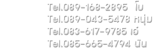 Tel.089-168-2595